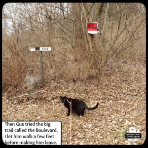 Gus trying to enter the trails with No Trespassing sign posted
