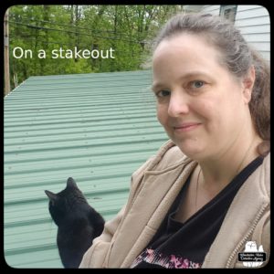 black cat Gus and Amber sitting on the roof for a stakeout