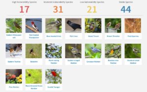screenshot of the Audubon results
