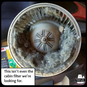 mouse nest inside the blower for the vent and air conditioning