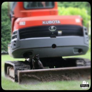 black cat Gus sitting on the plow end of the excavator next to the "caterpillar track" on one side.