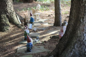 Gnome Grove