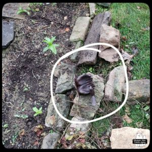 circled artifact on top of rocks; it's a broken set of metal hands opened with a bird on one thumb