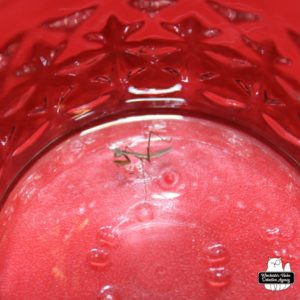 tiny praying mantis (Chinese mantis) at the bottom of a red glass jar.