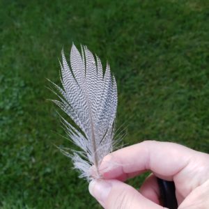 duck feather held by Amber