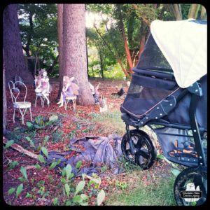 Oliver in his stroller in Gnome Grove to talk to the faeries and gnomes.