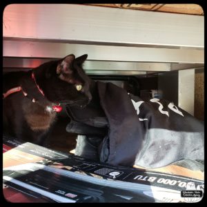 Gus inside the cargo storage space of the mobile command unit looking for evidence of mice.