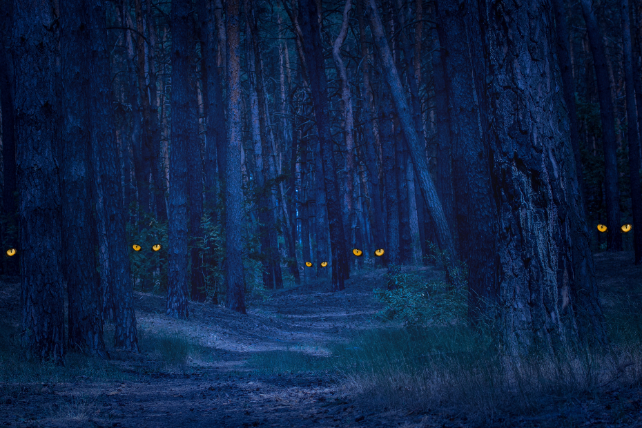 illustration stock image of spooky eyes in the woods