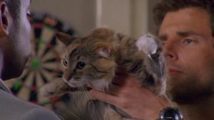 Psych episode "9 Lives" - Shawn Spencer holding up the little "boy" cat (actually a female) in Gus' face; he later gives the cat to Buzz as an engagement present.