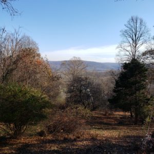 a broad landscape shot with trees and some yard in the foreground and hills in the background in autumn 2019