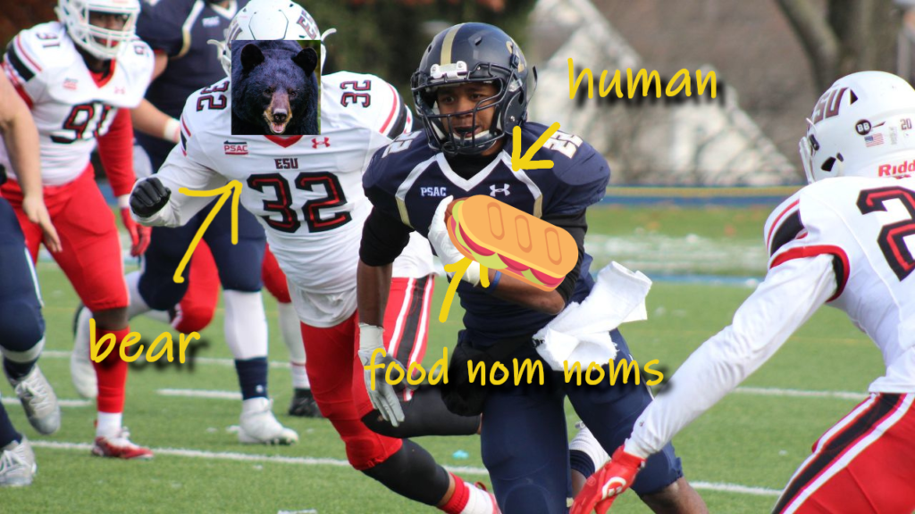 badly photoshopped stock image of kids playing football; boy with "ball" which is a sandwich is being chased by "boy" who has a bear head. text and arrows for clarification