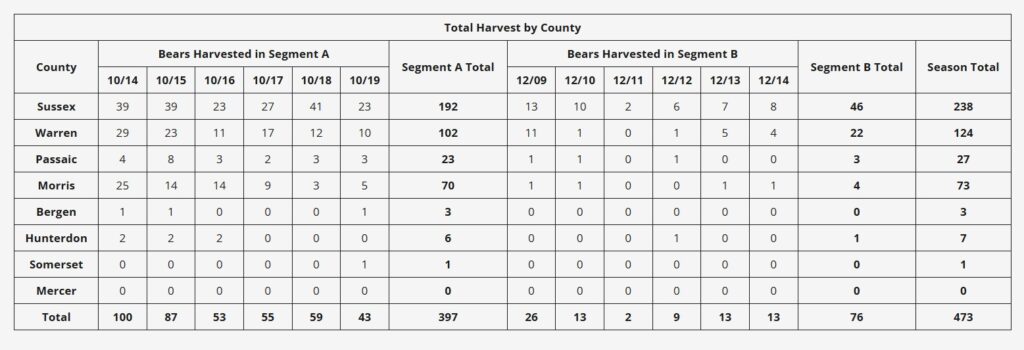 from the NJDEP website: a table of totals by County (rows) and date (columns) for October and December 2024 black bear hunting seasons. Grand total: 473 bears killed