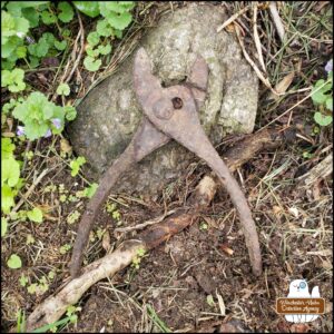 close up of the rusty pliers after they'd been pulled from the dirt.