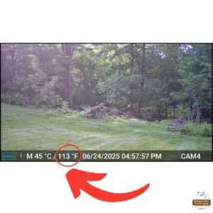 trailcam photo with the date/time bar showing 45C / 113F degrees on June 24, 2025 at 4:57PM; the 113 circled in red with a large red arrow pointing to it.