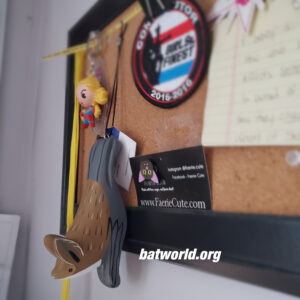 Amber's corkboard with various novelties and a cute bat ornament from batworld.org.