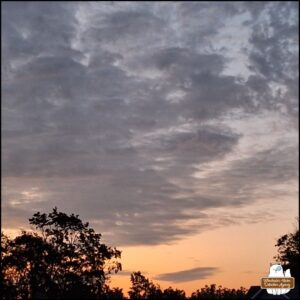 cloud cover sunrise with silhouetted tree tops