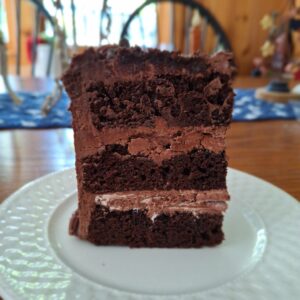 a 3-layer chocolate cake with chocolate icing slice standing on a white plate