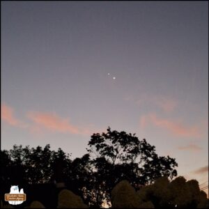 pink and light blue-grey sunrise with silhouetted treeline and 2 celestial objects shining brightly
