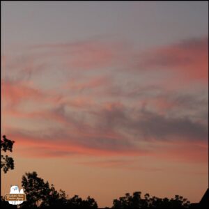pink and lavender sunrise with silhouetted treeline showing streaks of clouds