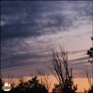 purple and pink sunrise with trees silhouetted