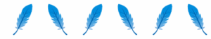 decorative border of Canva graphic, 6 blue feathers
