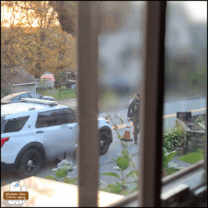 photo taken through a window of the cop moving the orange traffic cone in front of his car; background blurred.