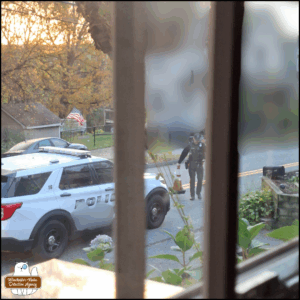 photo taken through a window of the cop moving the orange traffic cone in front of his car; background blurred.