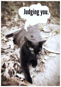 black cat Gus lying on the ground in dead leaves; no color saturation; Gus thought bubble, "Judging you."