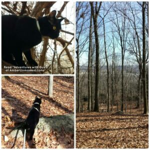 collage of Gus hiking in the woods and the landscape