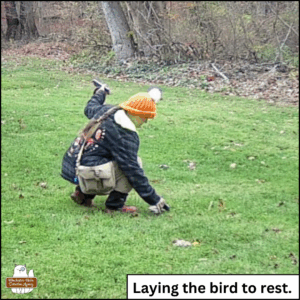 grainy surveillance color photo of Amber laying the dark-eyed junco to rest on the grass.