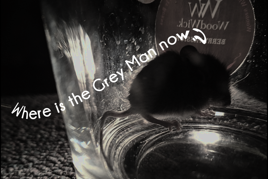 dark image showing a backlit mouse in a jar overlaid with text, "Where is the Grey Man now?"