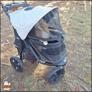 orange and white tabby Oliver in his stroller, standing up and reaching up to the roof with one paw while the other paw holds on to the gap between the top and bottom screens.