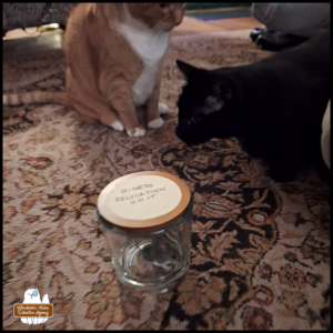 Oliver and Gus huddled around the mouse in a glass jar labeled "witness relocation unit."
