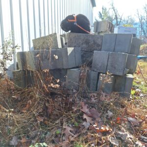 black cat Gus on top of stacks of cinder blocks to stalk the chipmunk from above. in the front of the stack from this side, the weeds are unkempt and covering the pallet at the bottom.