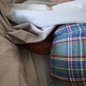 a peek at orange tabby Oliver sleeping under a sheet