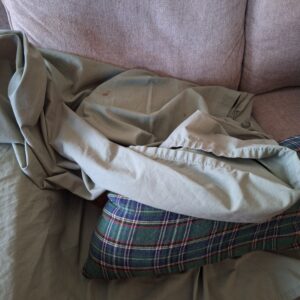 orange tabby Oliver sleeping under a sheet, totally obscured