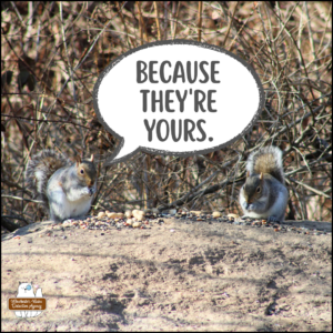 eastern grey squirrels, Silver St. Cloud & Dr. Peter Silverstone, on the Big Rock with birdseeds and peanuts; Silver: Because they're yours.