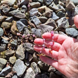 Amber's hand holding a string of (plastic) purplish-pink gems being pulled out of the gravel and dirt.
