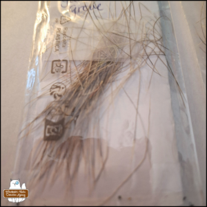 sample of deer hair in a baggie with a label noting the date, Feb 9, 2026, and collection site was near the patio on path cleared of snow
