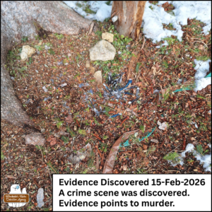 blue jay feathers on the ground; caption: evidence discovered 15-Feb-2026, a crime scene was discovered. Evidence points to murder.