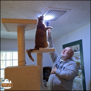 Oliver standing on his hind legs at the 2nd from top shelf of his cat tree so he can sniff and look into a metal grate on the ceiling next to the flashlight held by his grandpa.