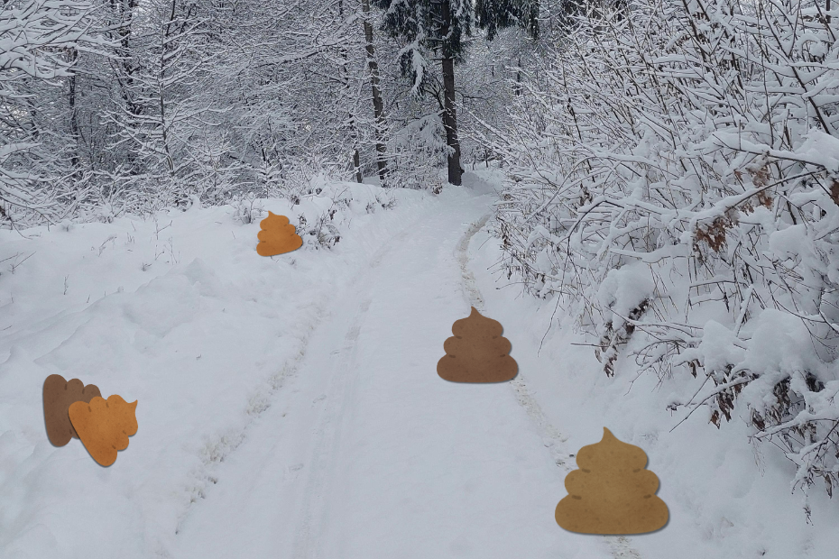 snowy road (stock photo) with different sized illustrations of poop piles from Canva stock graphics.