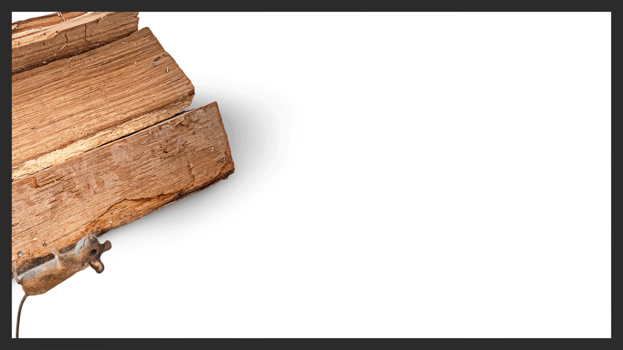 using Adobe stock images of firewood logs and a mouse, Amber created an animation of the mouse hugging the bottom of the firewood and together moving left to right
