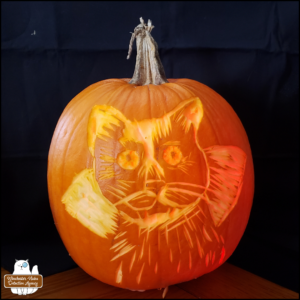 artist Meg Cocho's finished carving of Gus as a vampire into a pumpkin, 2023
