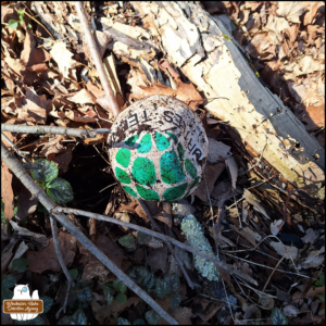 TMNT ball partially deflated found in the woods