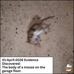 Pixelated dead mouse on garage floor; caption: 01-April-2026 Evidence discovered: The body of a mouse on the garage floor.