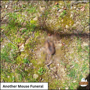 Pixelated dead mouse laid out to rest on the mossy ground; caption: Another Mouse Funeral (2026-04-14)