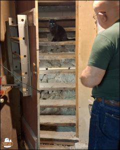 black cat Gus sitting in the middle of the old wooden stairs in dirt while The Grumpy Old Man is outside the door talking to him.