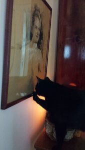 black cat Gus with a paw on the bottom of a beautiful portrait of Amber hanging on the wall.
