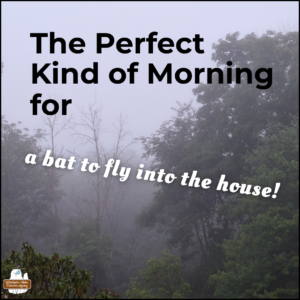 text: The Perfect Kind of Morning for a bat to fly into the house! background: dense fog with some live and dead trees
